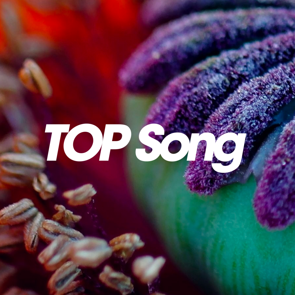 Cover-album-Top-Song-Thousands-of-Poppies