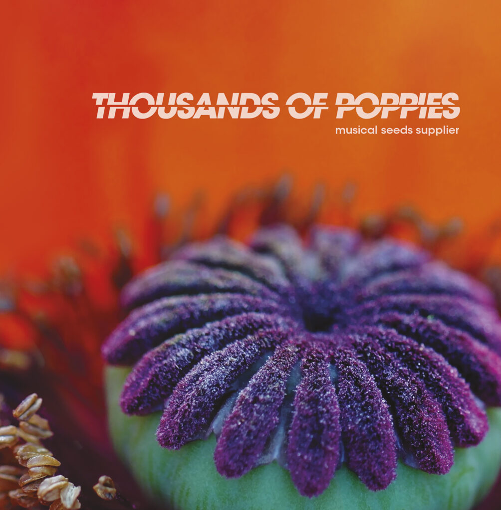 Cover-album-Ep-Musical-Seeds-Supplier-Thousands-of-Poppies